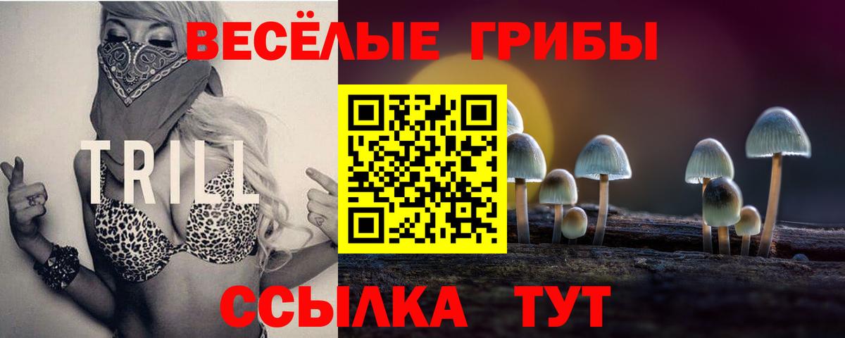 Галлюциногенные грибы GOLDEN TEACHER  Галлюциногенные грибы прущие грибы  Боровичи  Вход с VPN 